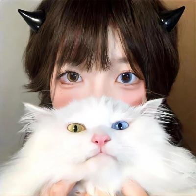 泪桥